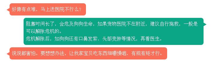 狗狗噎着吃什么可以缓解,如果狗狗卡住了还会吃得下东西吗