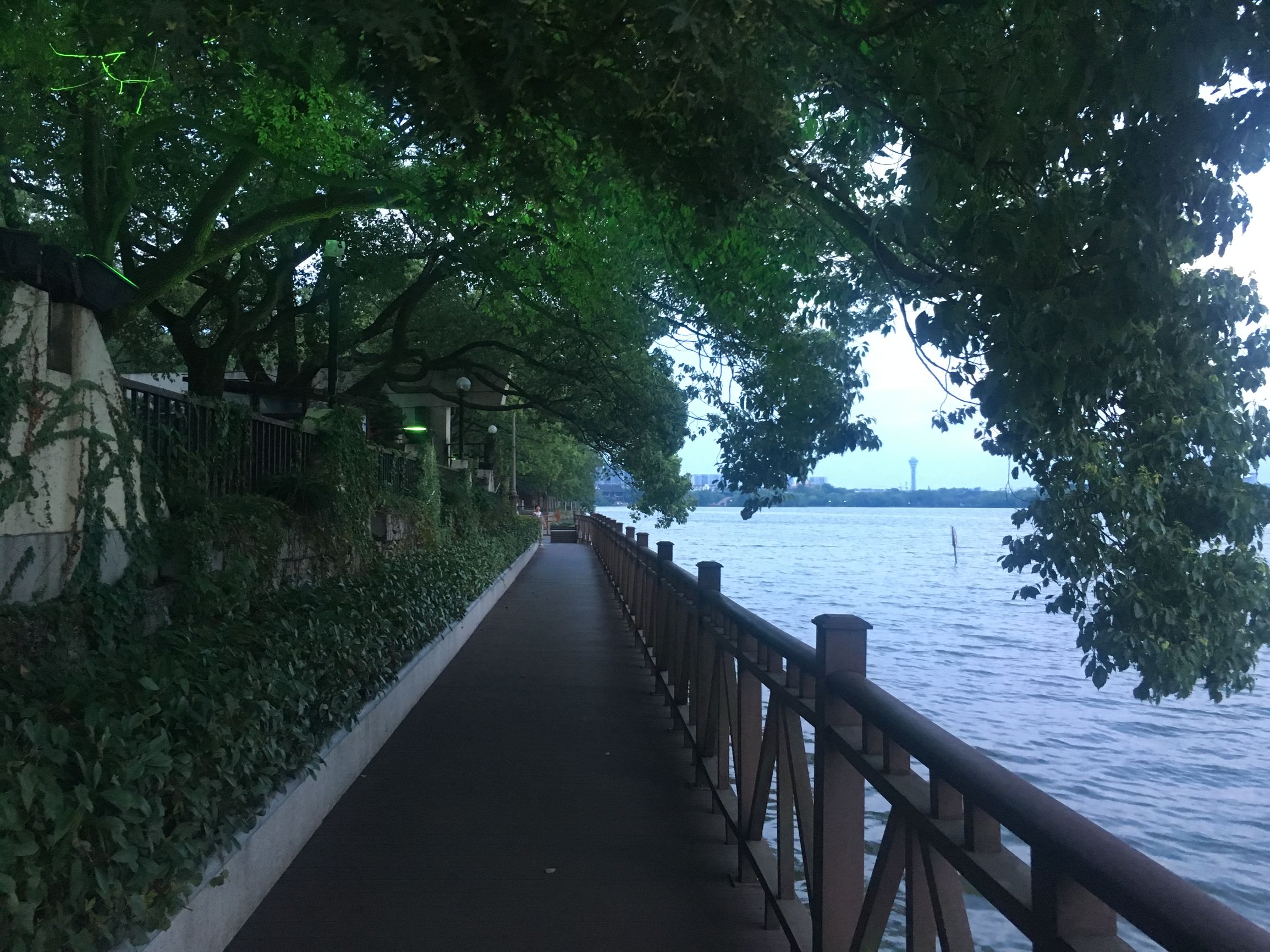 旅行第132天，重头理解旅游和旅行的区别，发现自己很可笑