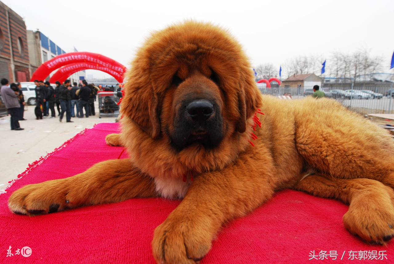 从青春到成熟的感悟,你必须知道的人生知识