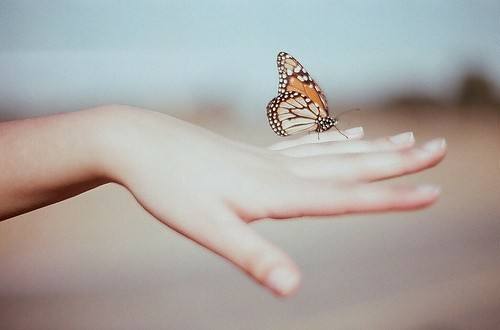 李敖台湾四大美人,李敖最漂亮的女人下集