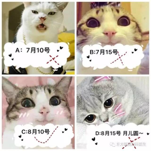 妇科门诊看病技巧,妇科泡腾片正确塞药姿势