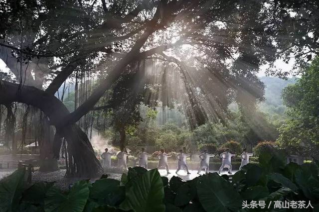 安溪是个怎样的存在，带你走近魅力安溪，走进铁观音