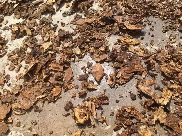 沉香治愈心灵,沉香能治愈什么