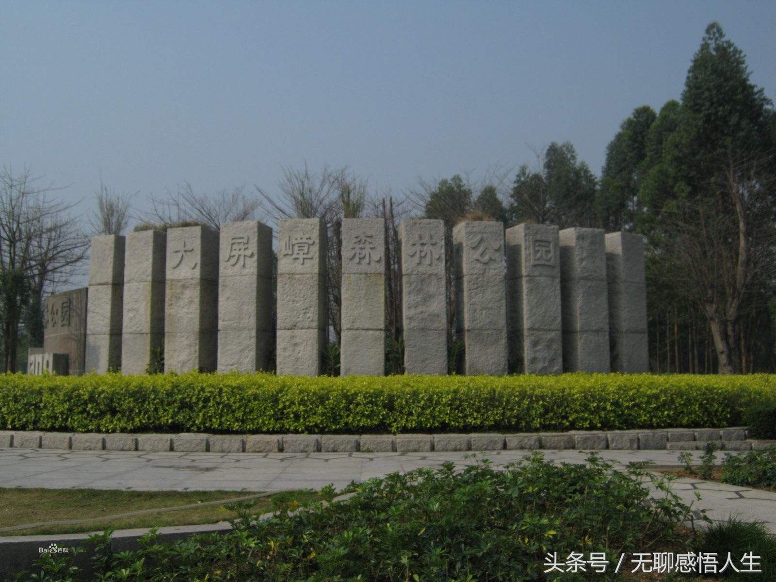 广东东莞塘厦镇简介,塘厦镇在中国百强镇排第几