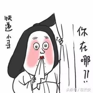 穿越到唐朝的正确方式,想穿越到唐朝的50个理由