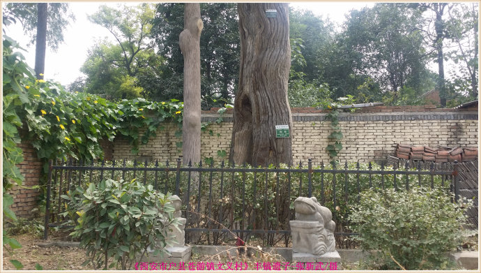 西安古村解密：西安市鄠邑区苍游镇文义村！