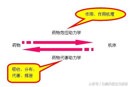 难道得了白癜风就找不到工作了吗,白癜风为什么不能晒太阳治疗
