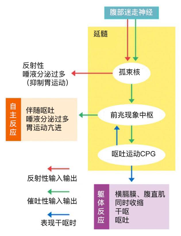 喝酒喝到一直吐是怎么了,喝酒喝到胃酸都吐出来了