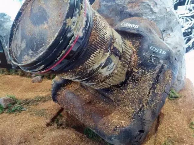 相机是个很好的朋友,相机是我的伴侣