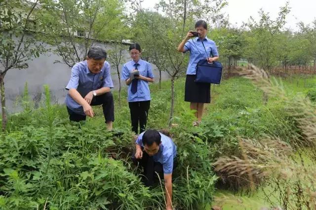 新时代的检察院工作方法,基层检察院动态