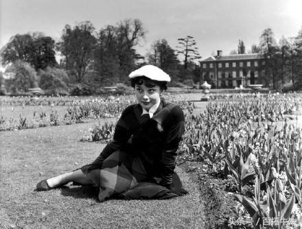 奥黛丽赫本的优雅永不过时抖音,优雅女人代表人物