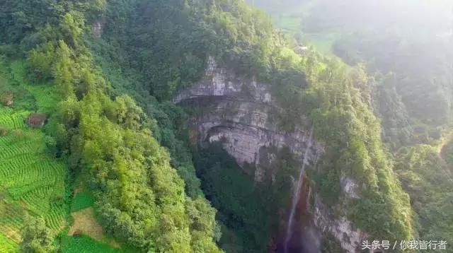 在深达数百米的天坑，大熊猫曾经到此一游