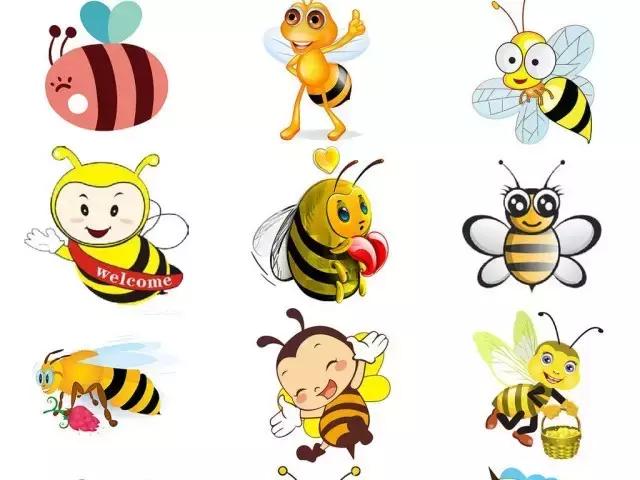 furla新款手机包,furla新包