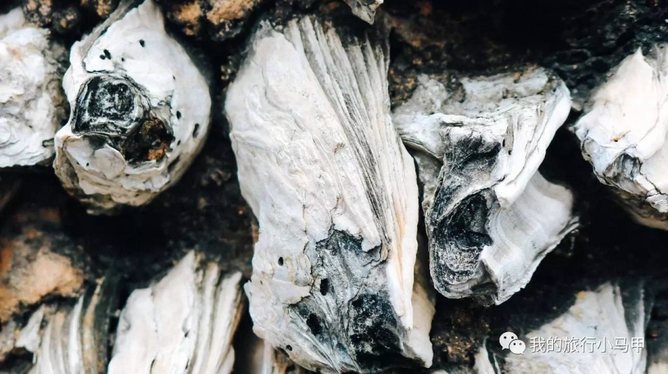 珠海长隆野生动物园旅游攻略,广州长隆自驾游旅游攻略