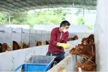 三大养殖业前景,养殖业巨头事迹排名第一