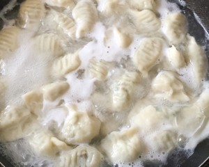 白菜饺子韭菜水饺的做法,韭菜肉虾仁饺子谁家的最好吃