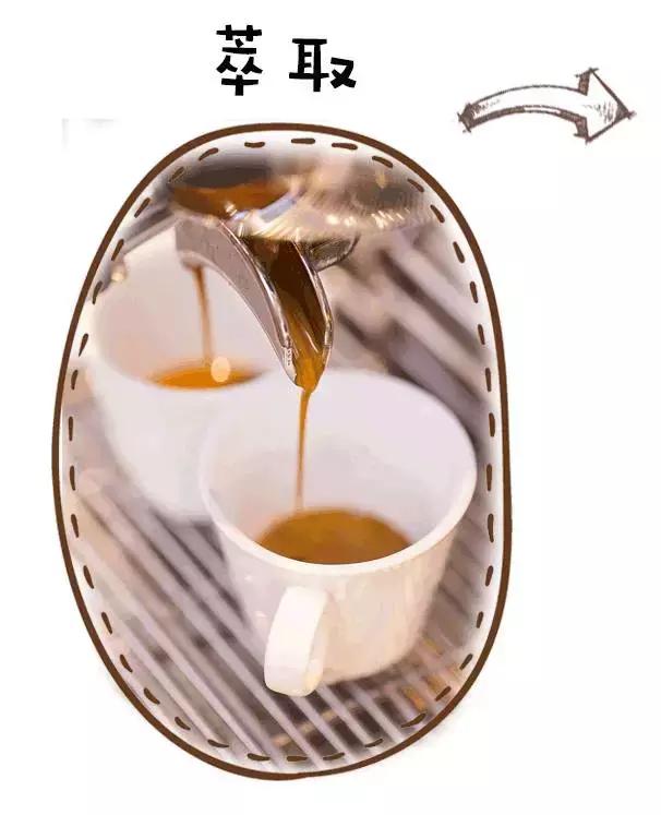 老司机才知道的咖啡厅，来过的人都会变成回头客