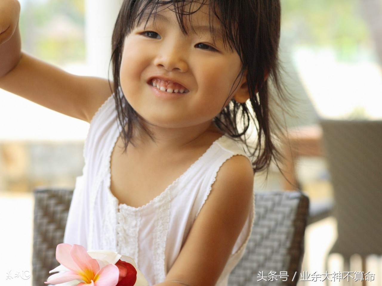 发现蛇窝一锅端,如果遇到蛇窝该怎么办