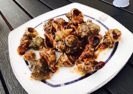 厦门人为什么不吃罗非鱼,厦门哪些海螺不能吃