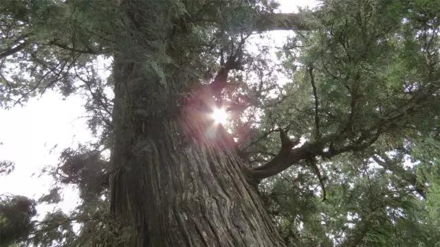 广元剑门关好耍不,广元昭化古镇两日游最佳安排