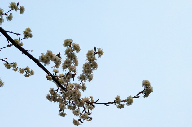 360奇酷手机尊享版测评,360奇酷手机旗舰的参数