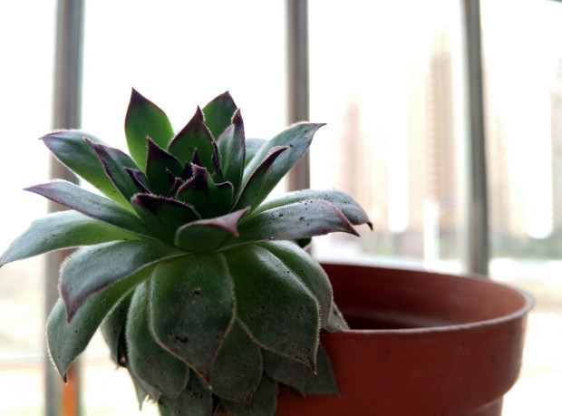 360奇酷手机尊享版测评,360奇酷手机旗舰的参数