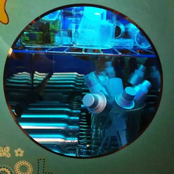 芳香护理肌肤精油,鼻腔干燥薄荷油推荐