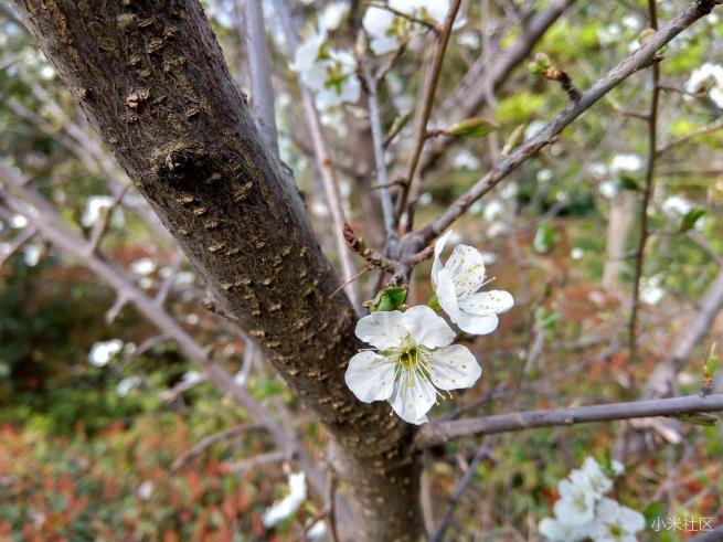 红米note3的拍照方法,红米note3不亮