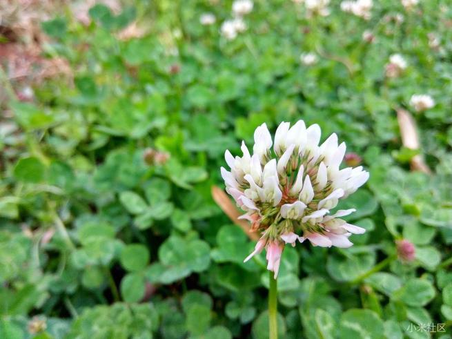 红米note3的拍照方法,红米note3不亮