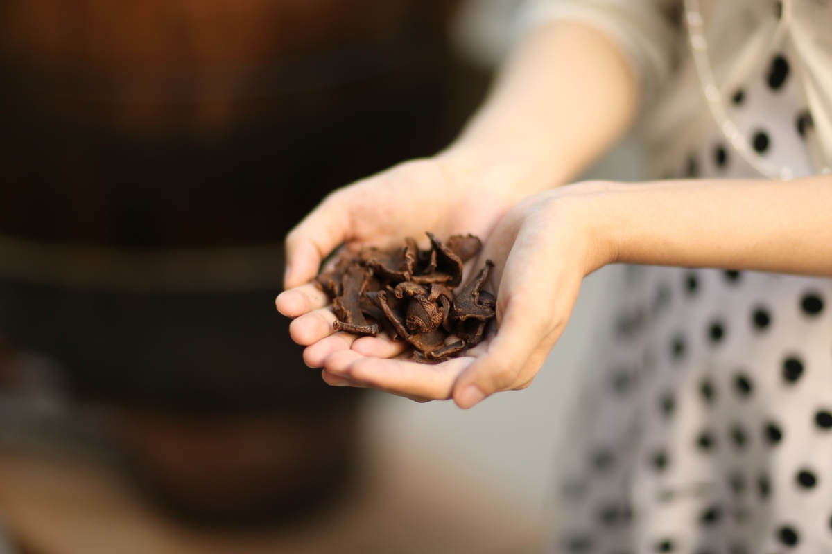 从会计师事务所离职后有多快乐,退出职场从此做一个贤妻良母