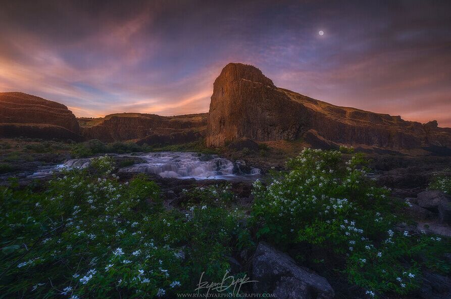 姊︿腑绉樺,姊﹂噷绉樺