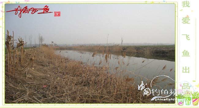 2016之我爱飞鱼觅得好钓点