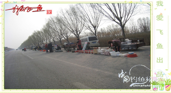 2016之我爱飞鱼觅得好钓点