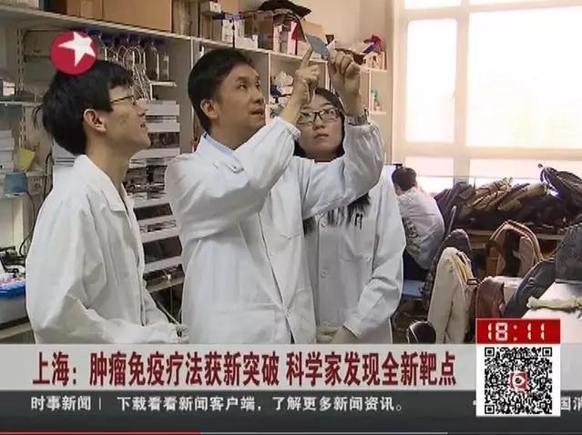 细胞免疫新突破全新靶点引关注