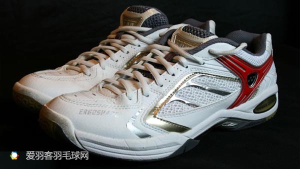 羽毛球林丹十佳球,林丹羽球历程