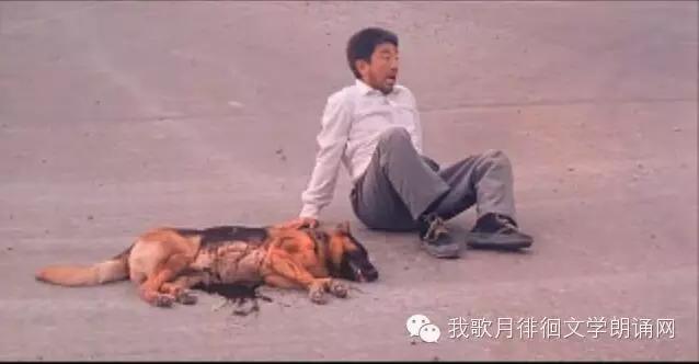 父爱如山感动亿万人的一首歌,父爱如山感人的故事