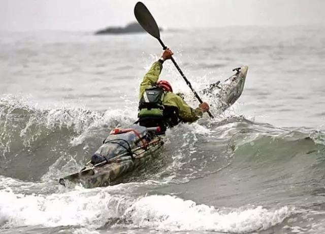 视察福田与双环的得与失