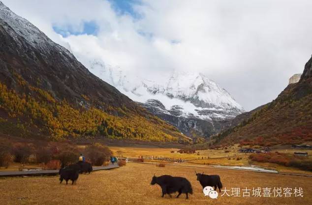 他花了四年时间，寻觅心中的香格里拉