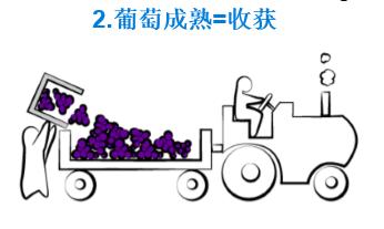 红酒酿造过程,红酒酿造过程视频