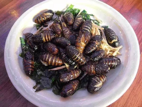 春蚕到死丝方尽整句诗,春蚕到死丝方尽图片