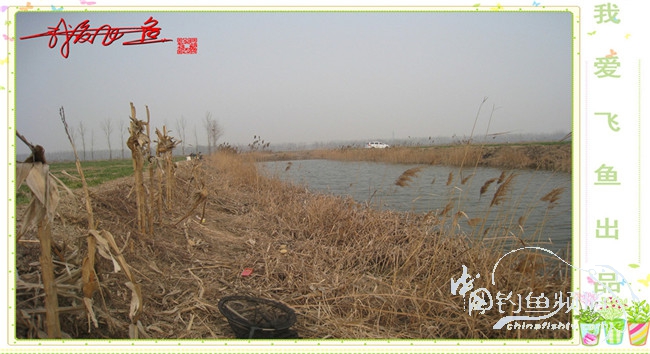2016之我爱飞鱼觅得好钓点
