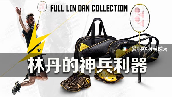 羽毛球林丹十佳球,林丹羽球历程