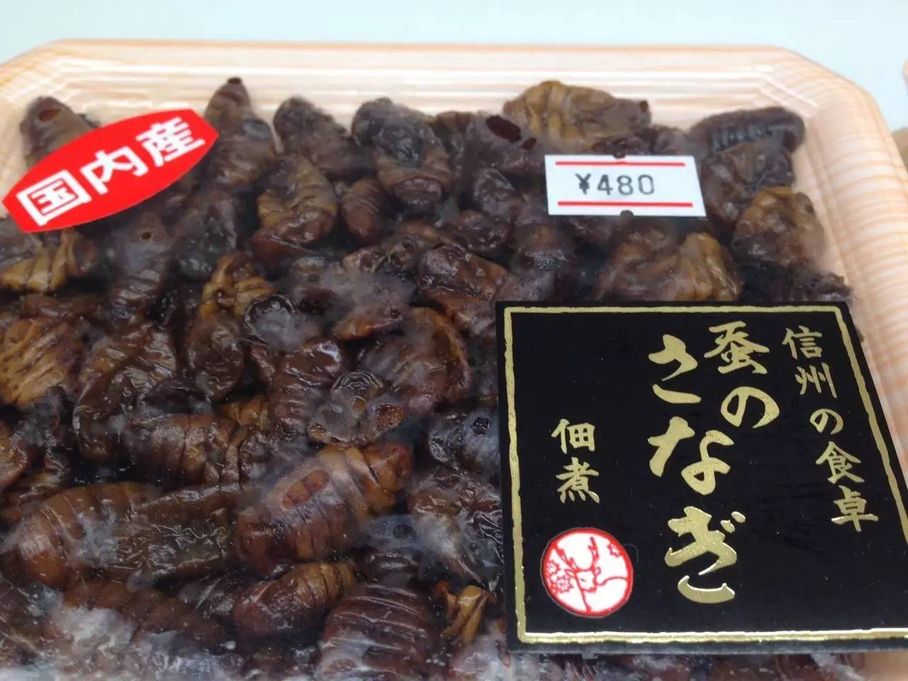 春蚕到死丝方尽整句诗,春蚕到死丝方尽图片