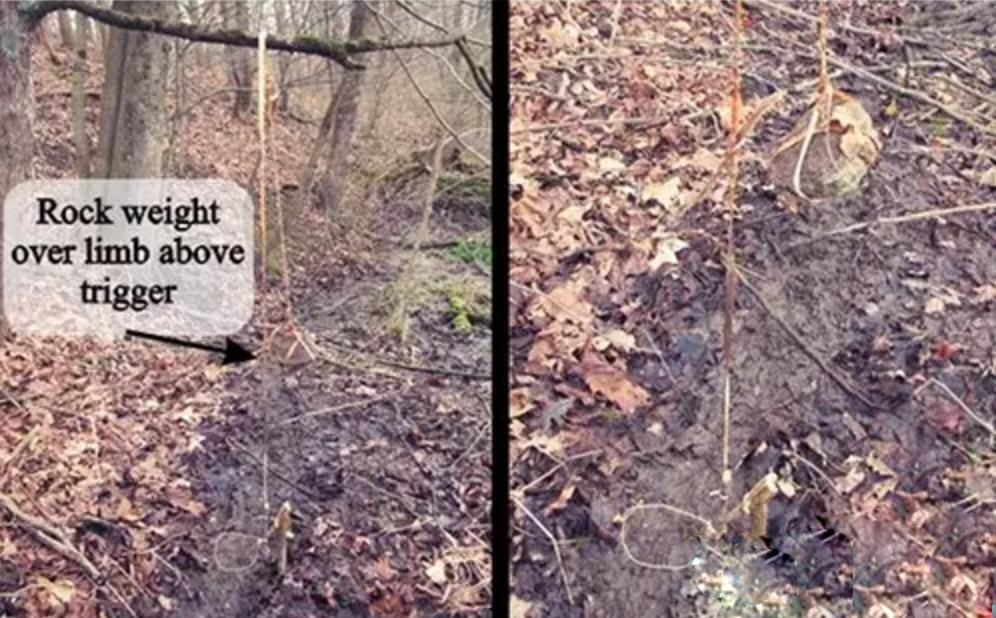 野外生存diy教你制作捕捉陷阱,野外求生陷阱简单大全