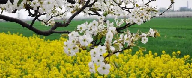 广元剑门关好耍不,广元昭化古镇两日游最佳安排