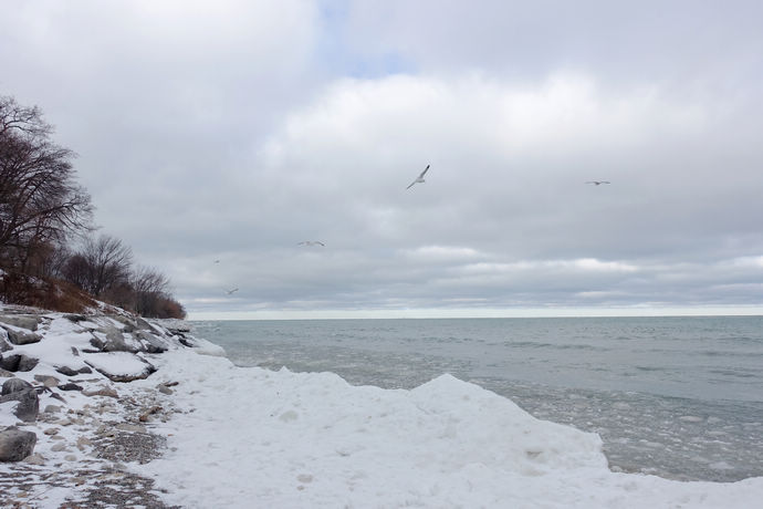 尼亚加拉珍稀冰酒,尼亚加拉冰葡萄酒