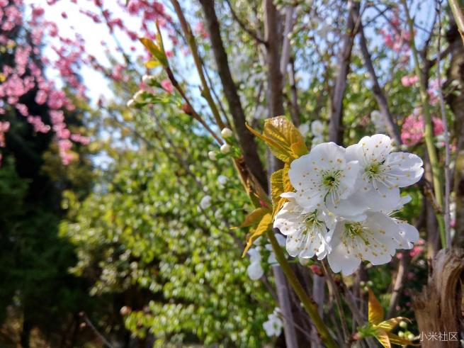 红米note3的拍照方法,红米note3不亮