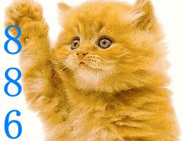 星座辞职,12星座上班族辞职