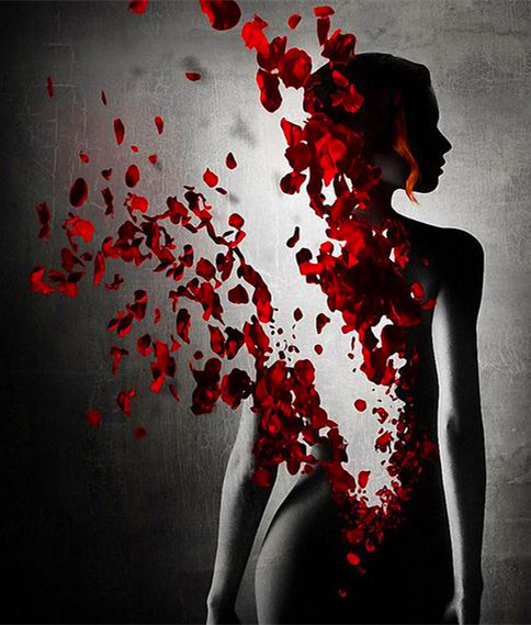 红酒酿造过程,红酒酿造过程视频