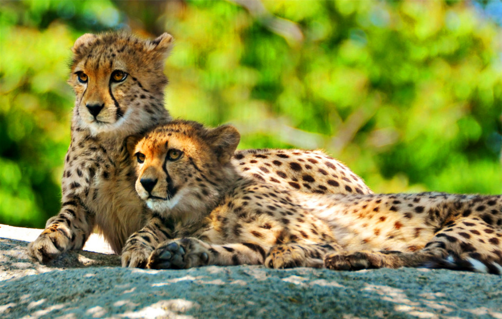 红酒酿造过程,红酒酿造过程视频